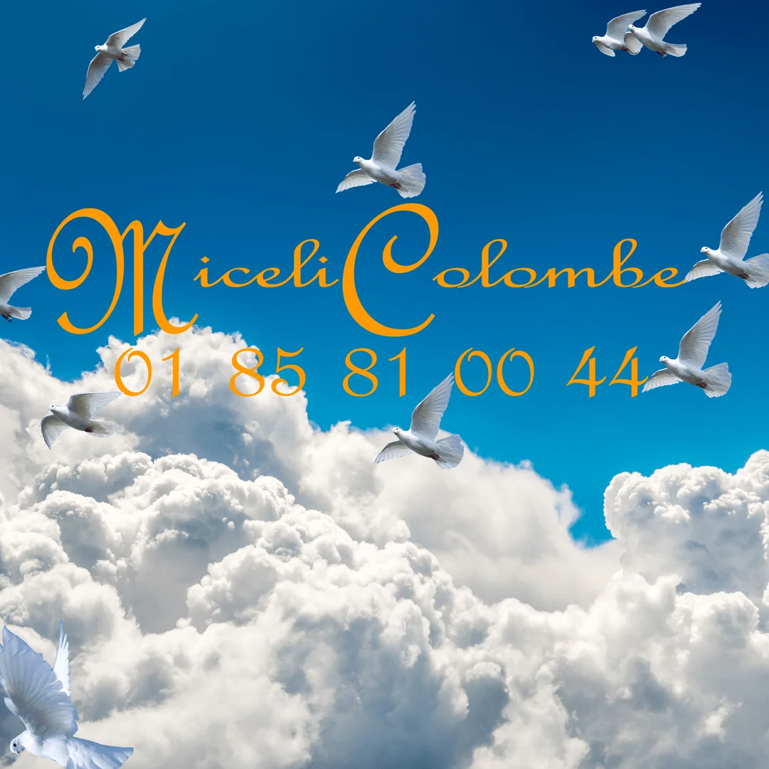 ​MI​CELI COLOMBE SPÉCIALISTE DU LACHER DE COLOMBES EN ILE DE FRANCE​​